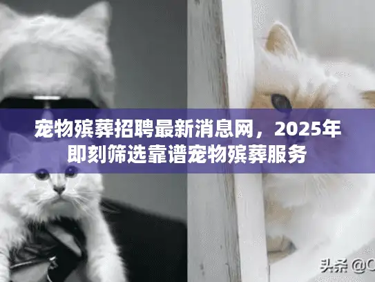 宠物殡葬招聘最新消息网，2025年即刻筛选靠谱宠物殡葬服务