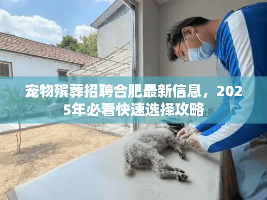 宠物殡葬招聘合肥最新信息，2025年必看快速选择攻略