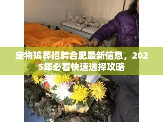 宠物殡葬招聘合肥最新信息，2025年必看快速选择攻略