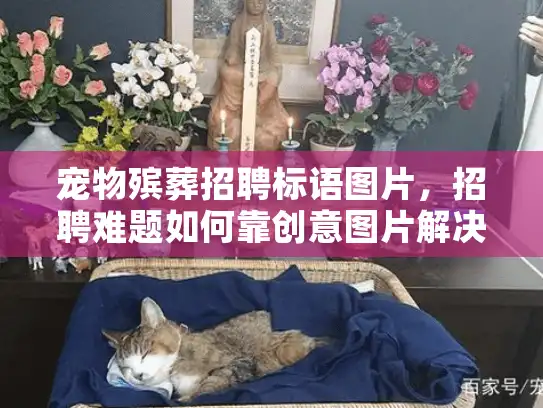 宠物殡葬招聘标语图片，招聘难题如何靠创意图片解决