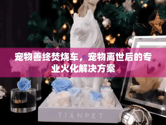宠物善终焚烧车，宠物离世后的专业火化解决方案
