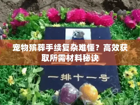 宠物殡葬手续复杂难懂？高效获取所需材料秘诀