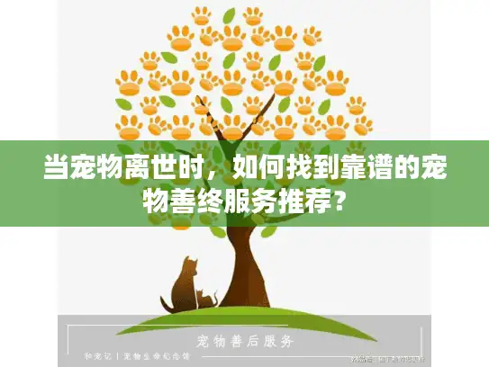 当宠物离世时，如何找到靠谱的宠物善终服务推荐？