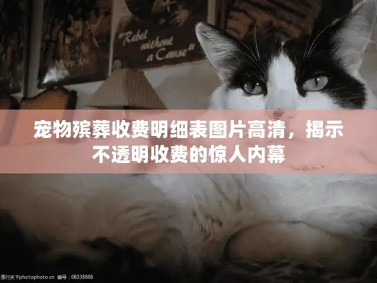 宠物殡葬收费明细表图片高清，揭示不透明收费的惊人内幕