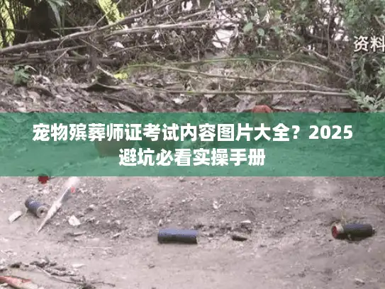 宠物殡葬师证考试内容图片大全？2025避坑必看实操手册