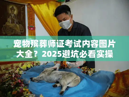 宠物殡葬师证考试内容图片大全？2025避坑必看实操手册