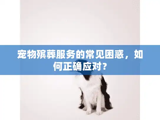 宠物殡葬服务的常见困惑，如何正确应对？