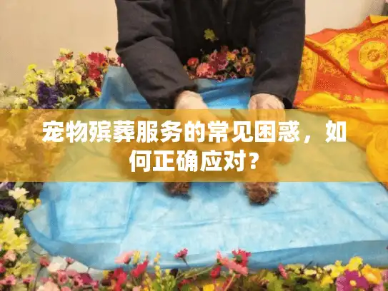 宠物殡葬服务的常见困惑，如何正确应对？