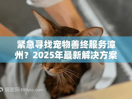 紧急寻找宠物善终服务漳州？2025年最新解决方案行动指南