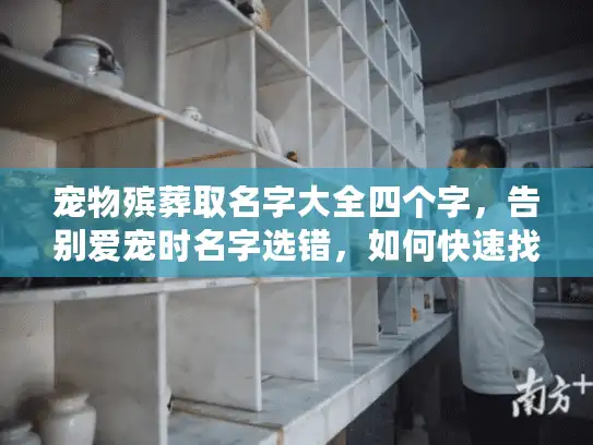 宠物殡葬取名字大全四个字，告别爱宠时名字选错，如何快速找到暖心方案？