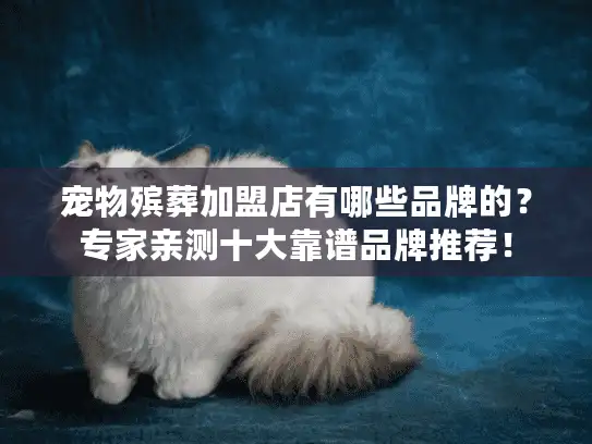 宠物殡葬加盟店有哪些品牌的？专家亲测十大靠谱品牌推荐！