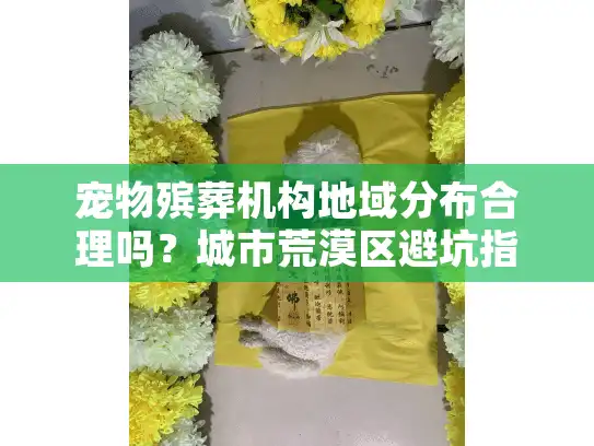 宠物殡葬机构地域分布合理吗？城市荒漠区避坑指南
