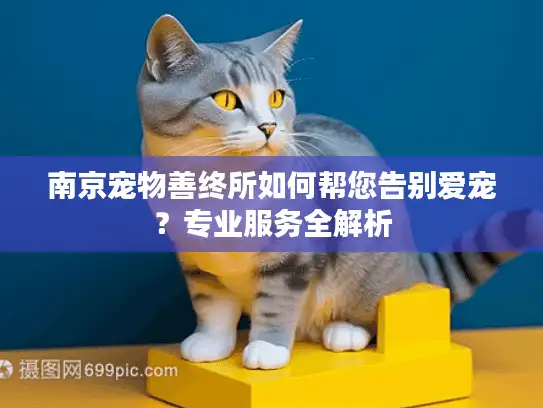 南京宠物善终所如何帮您告别爱宠？专业服务全解析