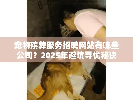 宠物殡葬服务招聘网站有哪些公司？2025年避坑寻优秘诀