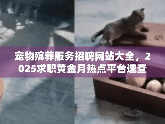 宠物殡葬服务招聘网站大全，2025求职黄金月热点平台速查指南