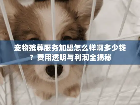 宠物殡葬服务加盟怎么样啊多少钱？费用透明与利润全揭秘
