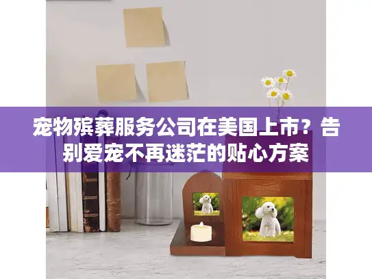 宠物殡葬服务公司在美国上市？告别爱宠不再迷茫的贴心方案