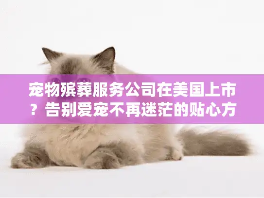 宠物殡葬服务公司在美国上市？告别爱宠不再迷茫的贴心方案
