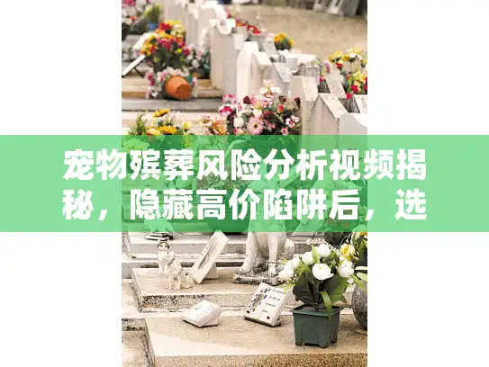 宠物殡葬风险分析视频揭秘，隐藏高价陷阱后，选服务零焦虑