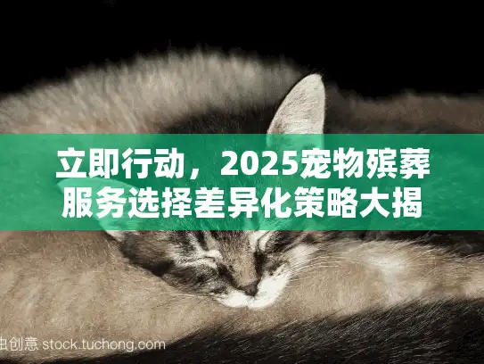立即行动，2025宠物殡葬服务选择差异化策略大揭秘