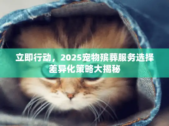 立即行动，2025宠物殡葬服务选择差异化策略大揭秘