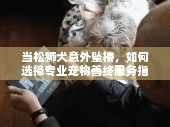 当松狮犬意外坠楼，如何选择专业宠物善终服务指南？