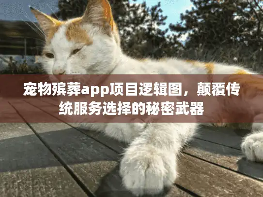 宠物殡葬app项目逻辑图，颠覆传统服务选择的秘密武器