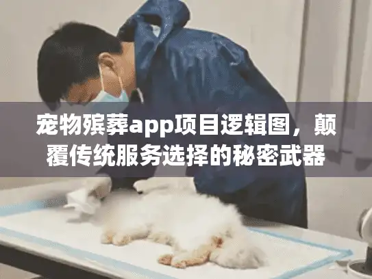 宠物殡葬app项目逻辑图，颠覆传统服务选择的秘密武器