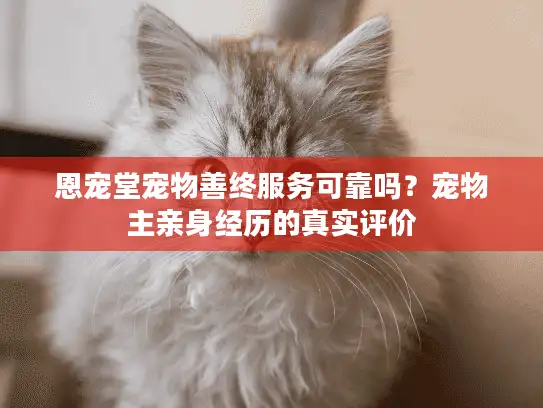 恩宠堂宠物善终服务可靠吗？宠物主亲身经历的真实评价