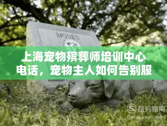 上海宠物殡葬师培训中心电话，宠物主人如何告别服务混乱重获安宁？
