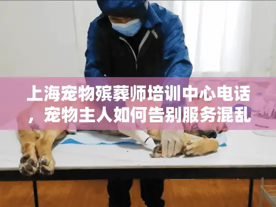 上海宠物殡葬师培训中心电话，宠物主人如何告别服务混乱重获安宁？