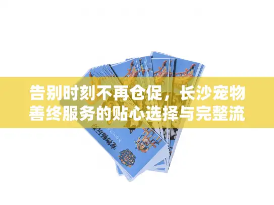 告别时刻不再仓促，长沙宠物善终服务的贴心选择与完整流程解析