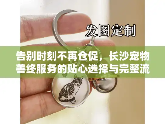 告别时刻不再仓促，长沙宠物善终服务的贴心选择与完整流程解析