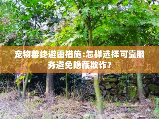 宠物善终避雷措施:怎样选择可靠服务避免隐藏欺诈？