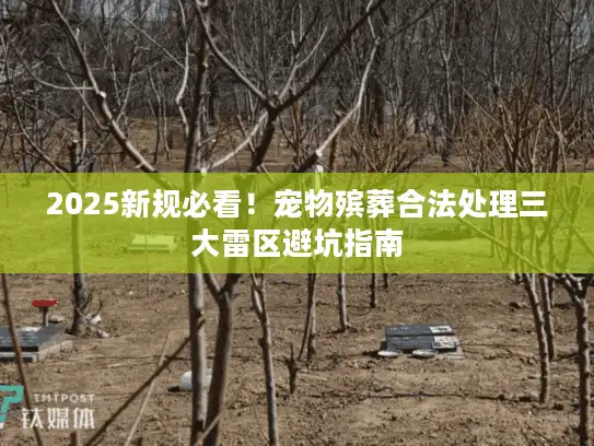 2025新规必看！宠物殡葬合法处理三大雷区避坑指南