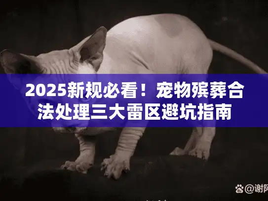 2025新规必看！宠物殡葬合法处理三大雷区避坑指南
