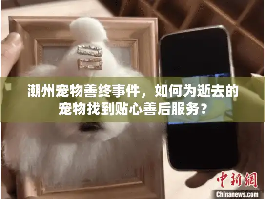 潮州宠物善终事件，如何为逝去的宠物找到贴心善后服务？