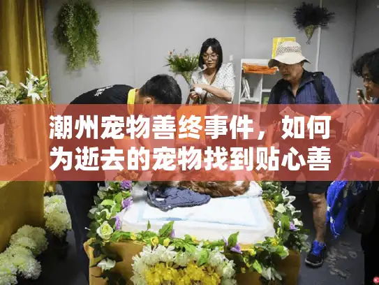 潮州宠物善终事件，如何为逝去的宠物找到贴心善后服务？
