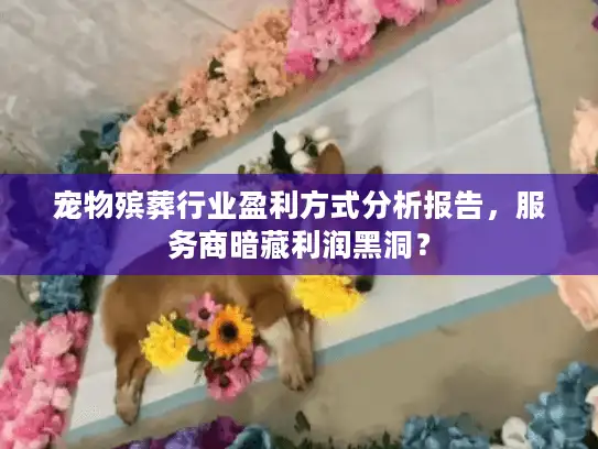 宠物殡葬行业盈利方式分析报告，服务商暗藏利润黑洞？