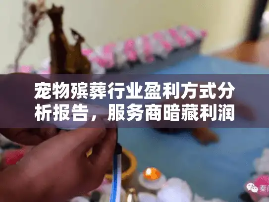 宠物殡葬行业盈利方式分析报告，服务商暗藏利润黑洞？