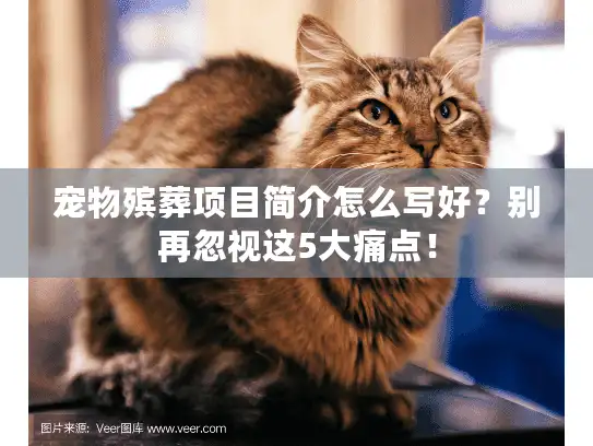宠物殡葬项目简介怎么写好？别再忽视这5大痛点！
