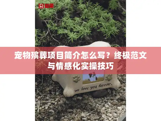 宠物殡葬项目简介怎么写？终极范文与情感化实操技巧