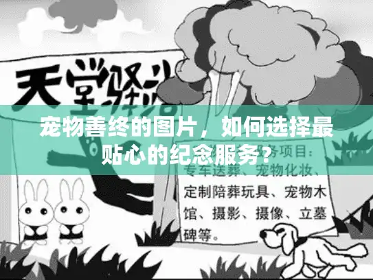宠物善终的图片，如何选择最贴心的纪念服务？