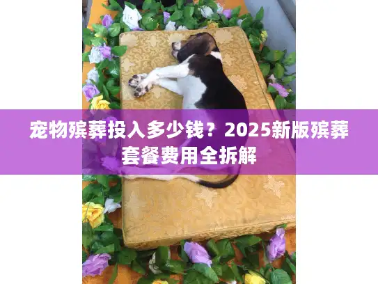 宠物殡葬投入多少钱？2025新版殡葬套餐费用全拆解