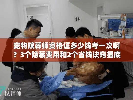 宠物殡葬师资格证多少钱考一次啊？3个隐藏费用和2个省钱诀窍揭底