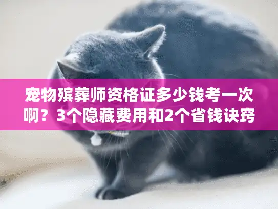 宠物殡葬师资格证多少钱考一次啊？3个隐藏费用和2个省钱诀窍揭底