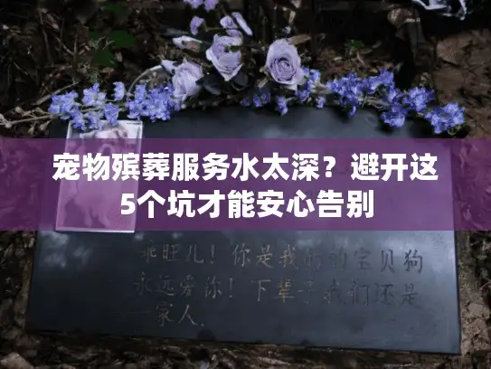 宠物殡葬服务水太深？避开这5个坑才能安心告别