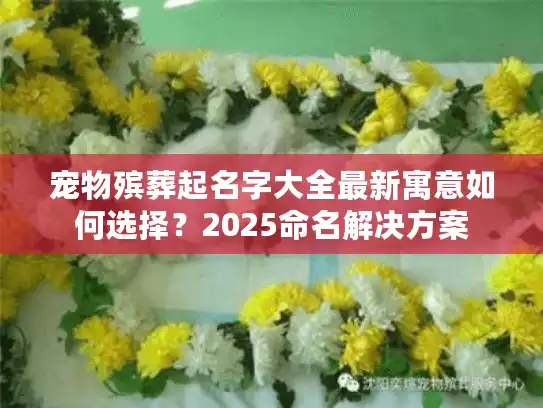 宠物殡葬起名字大全最新寓意如何选择？2025命名解决方案