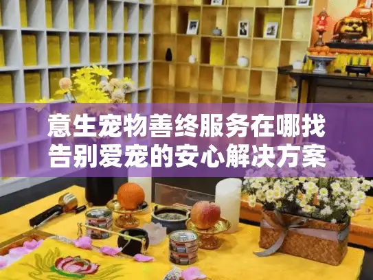 意生宠物善终服务在哪找告别爱宠的安心解决方案