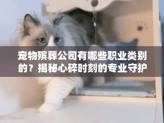 宠物殡葬公司有哪些职业类别的？揭秘心碎时刻的专业守护者团队